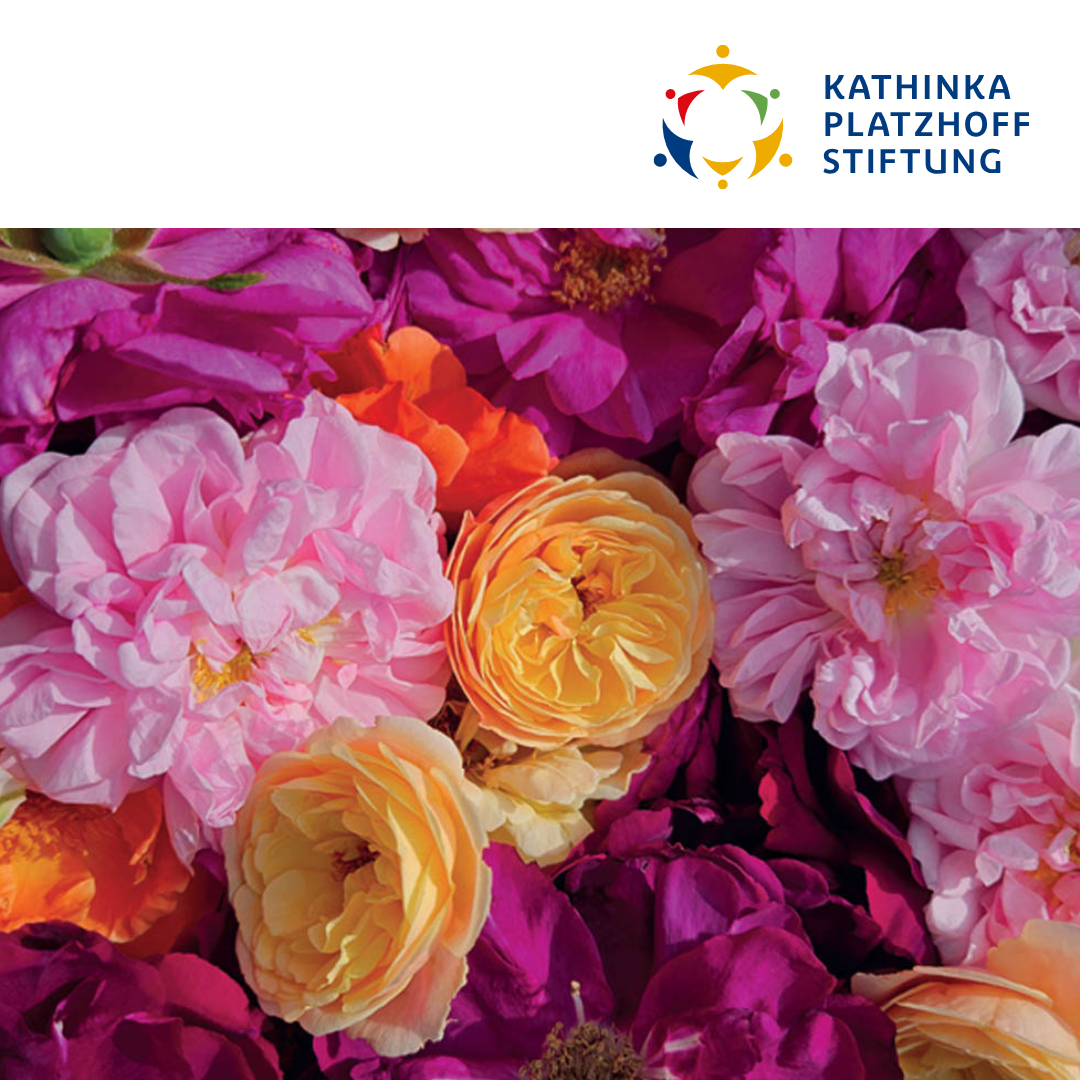 Rosenzeit Für Groß Und Klein